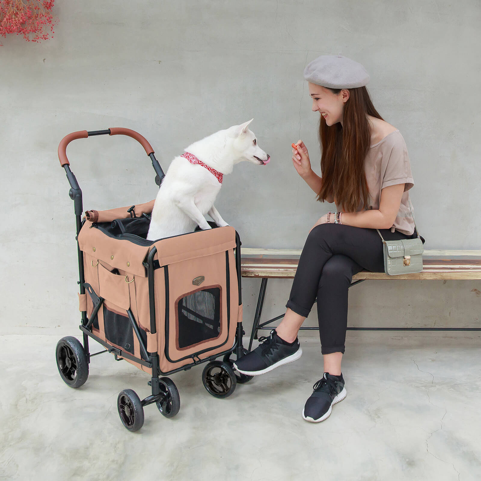 (Open-box item) Gentle Giant Pet Wagon Stroller with Detachable Carrier