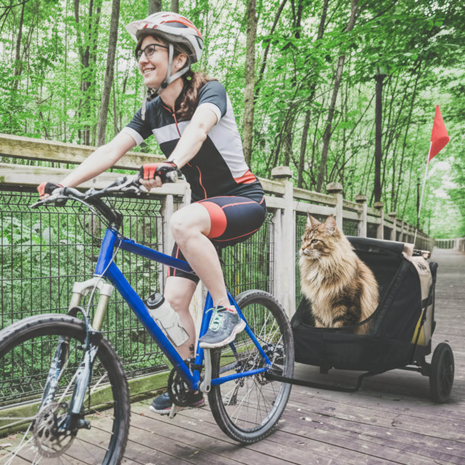 Minika 3-in-1 Pet Stroller System Foldable Dog Bicycle Trailer & Soft Crate Kennel