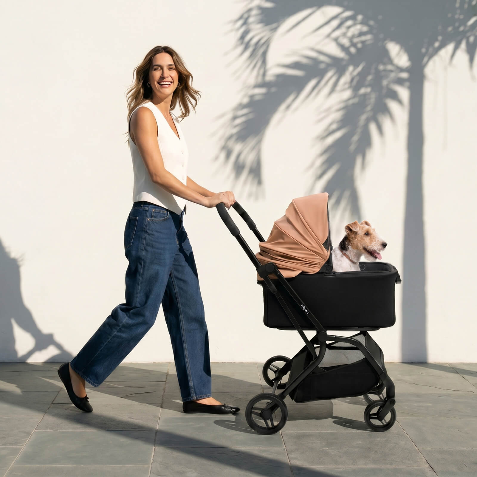 HUE-GO Detachable Pet Stroller & Capsule