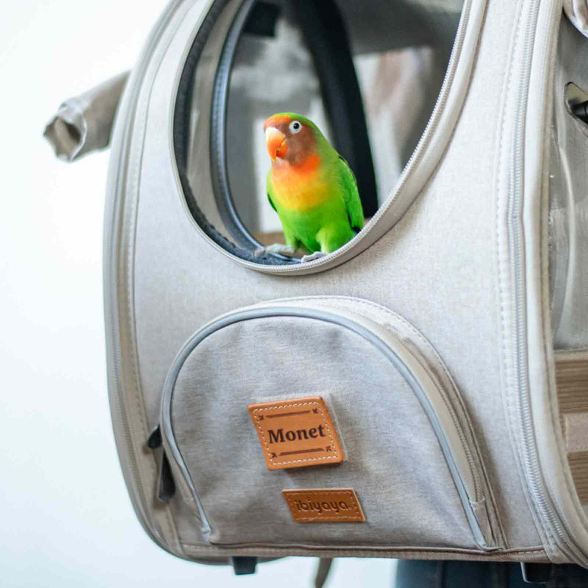 Custom Leather Name Tag for Pet Backpacks
