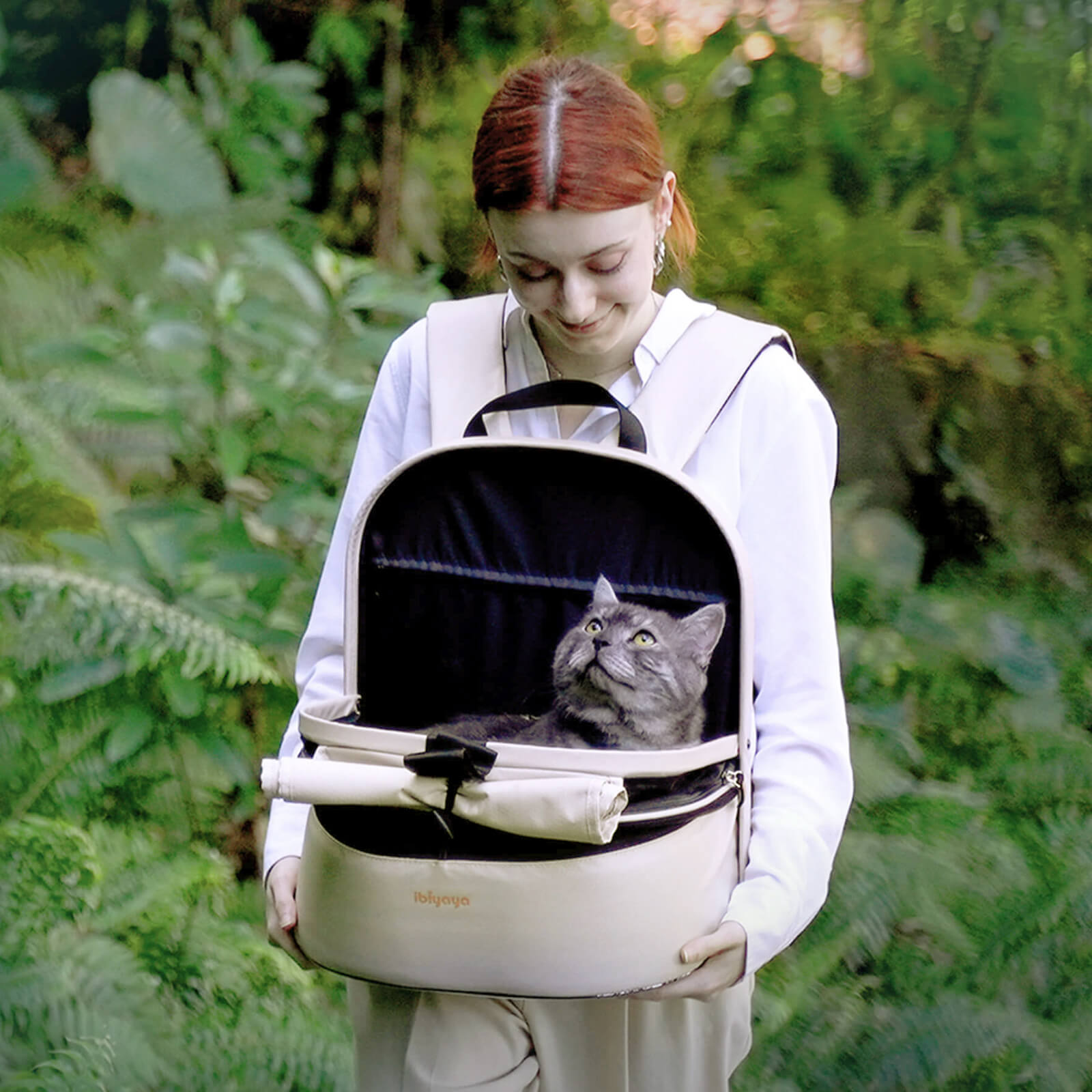 (Open-box item) Panorama Zipper-free Small Pet Travel Carrier, Cat-Dog Chest Carrier, with Optional Wheels