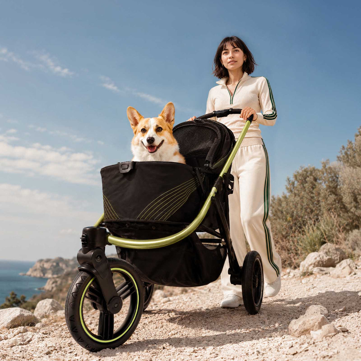 The Beast Pet Jogging Stroller, 3-Wheel All-Terrain Dog-Cat Pram