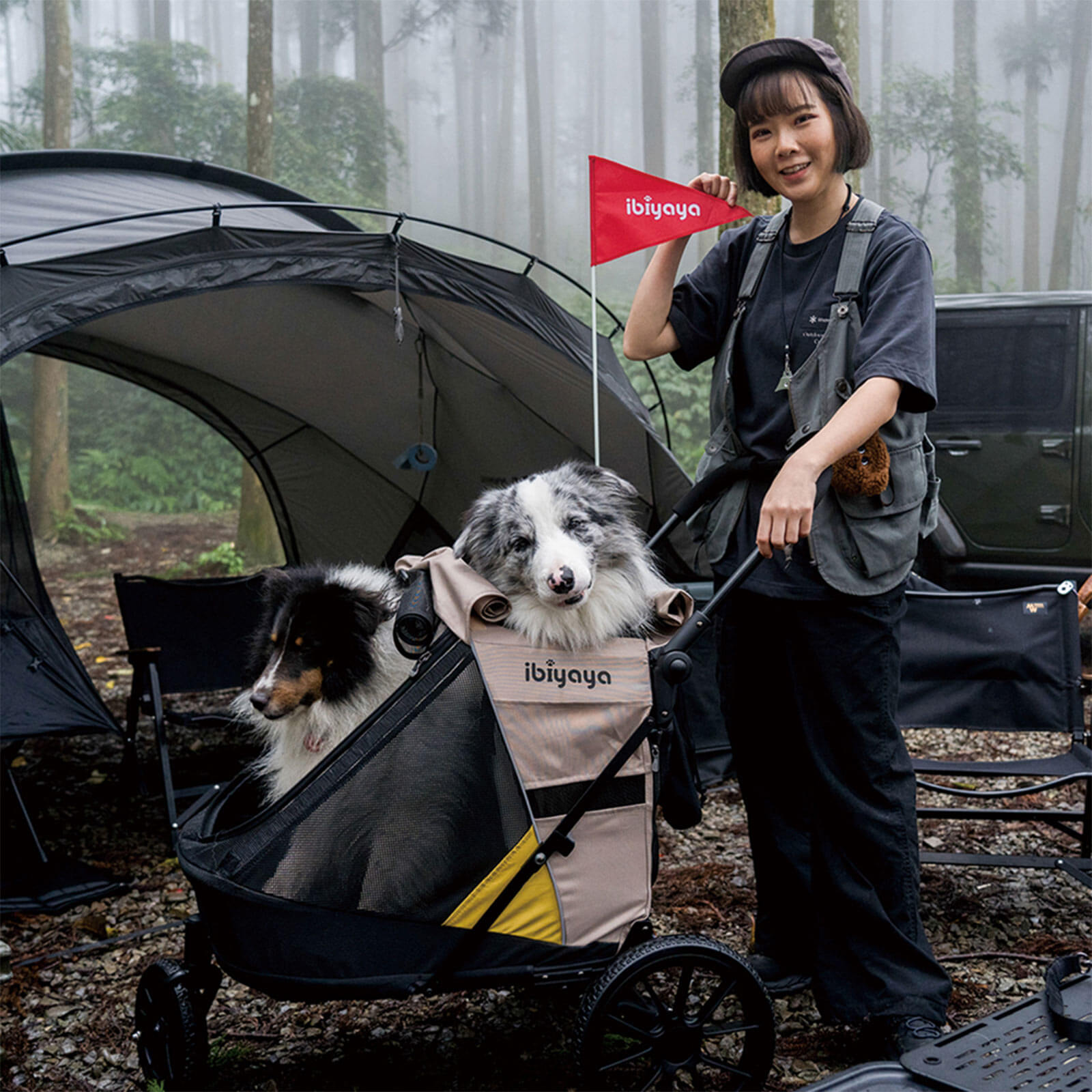 Minika 3-in-1 Pet Stroller System Foldable Dog Bicycle Trailer & Soft Crate Kennel 
