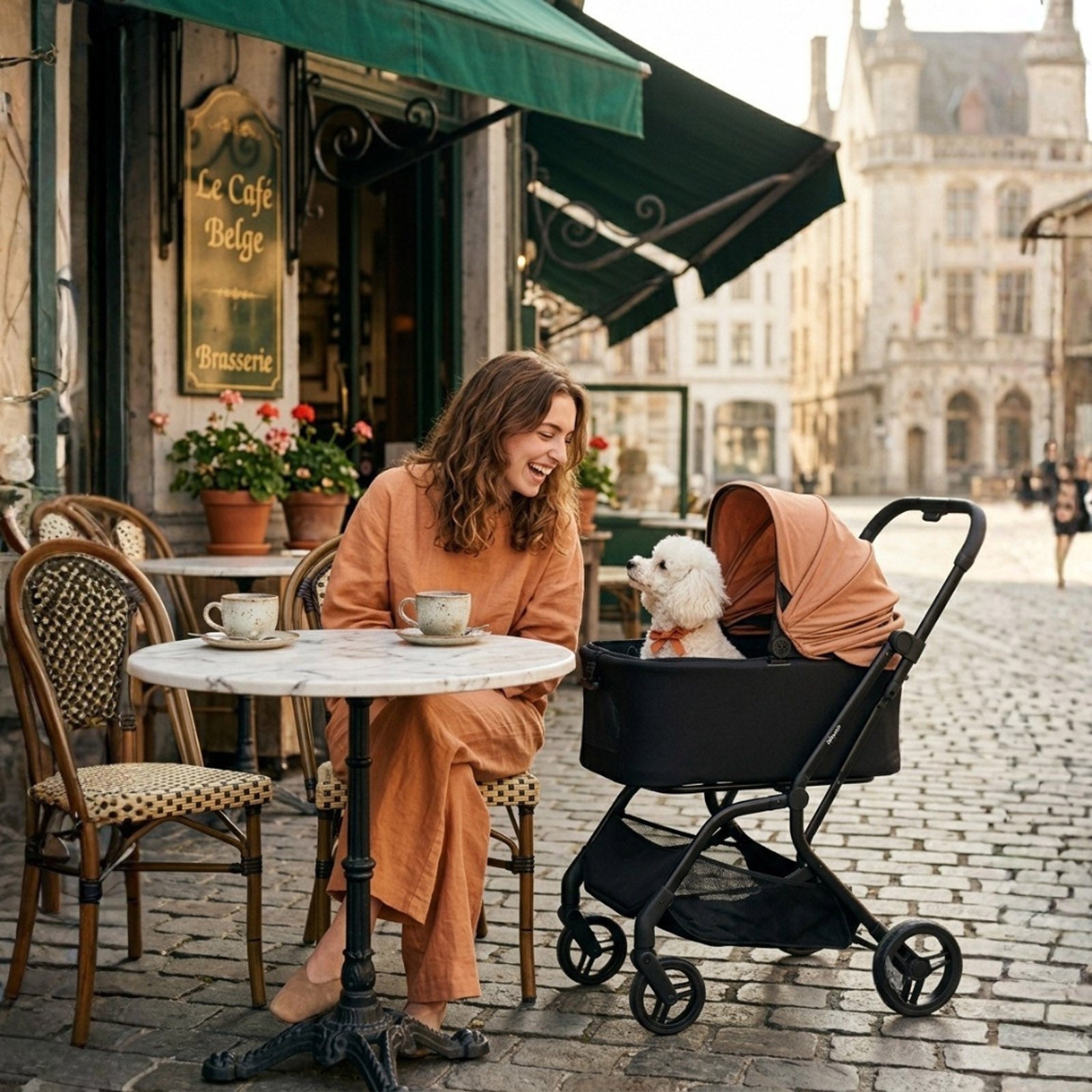 HUE-GO Detachable Pet Stroller & Capsule