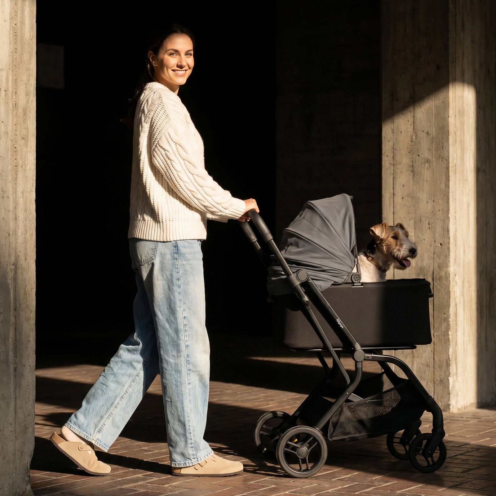 HUE-GO Detachable Pet Stroller & Capsule